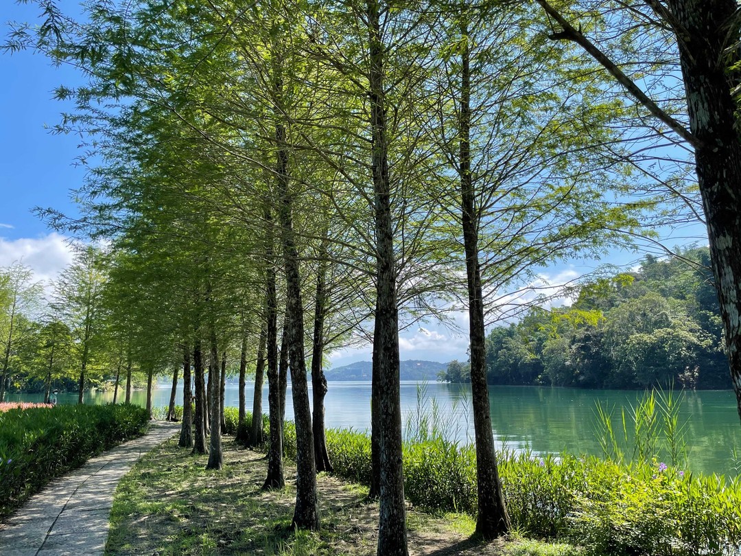 享受愜意湖景時光