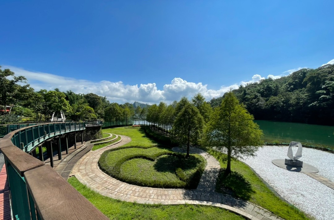 綠意盎然的落羽松也很美