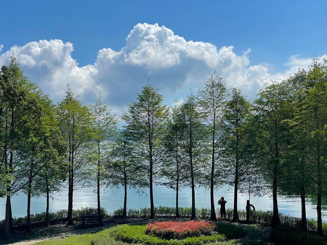 記錄這一刻的美好