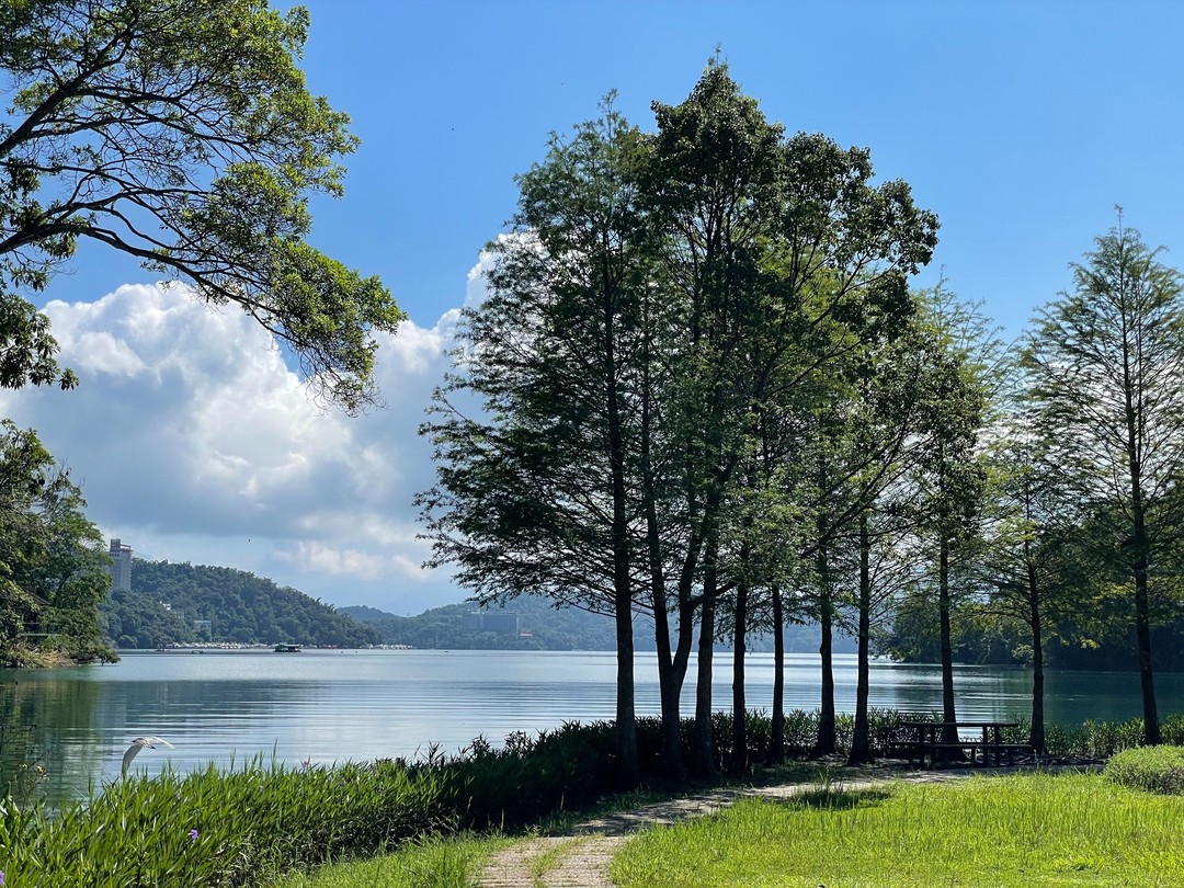 樹陰下休息賞景