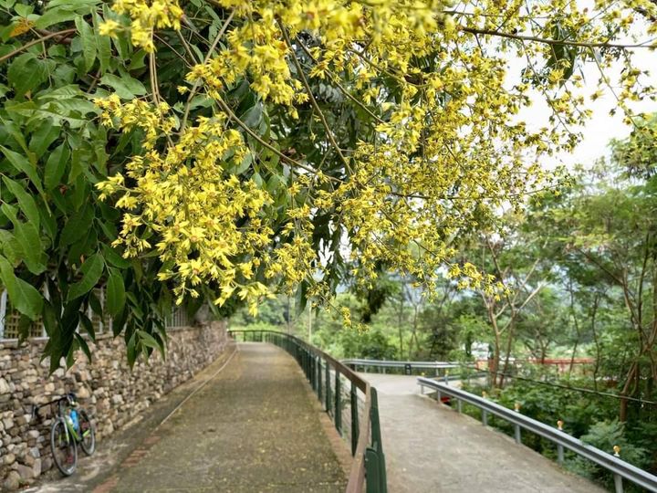 【車友召集令 #騎日月潭抽捷安特】