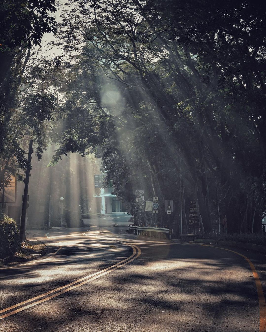 為你照亮每一個旅途