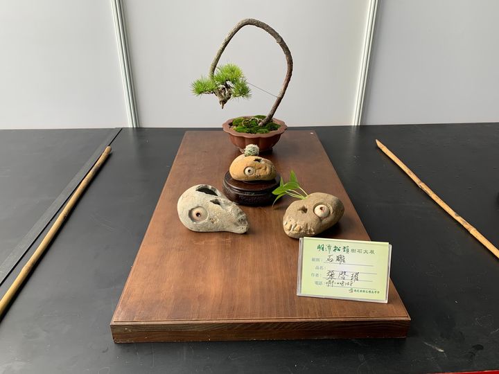 🌳【明潭松韻樹石大展】🌳系列3/6