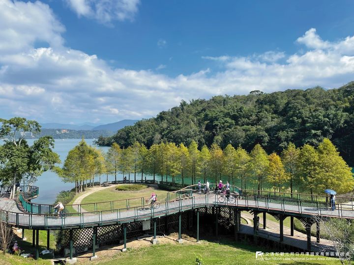 🍂【日月潭落羽松漸漸變紅了】🍂