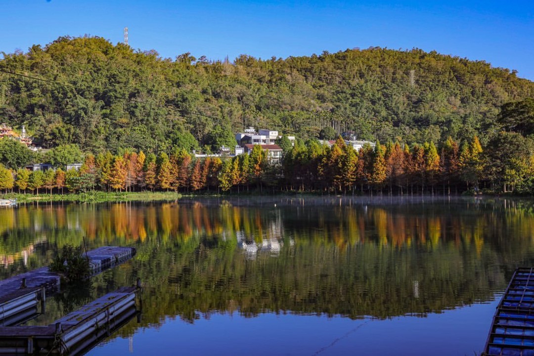 森林秘境🌲🌲
