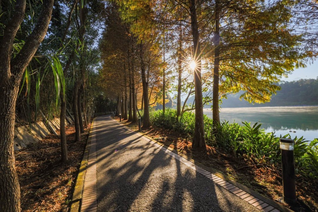 散步在光影交織的早晨