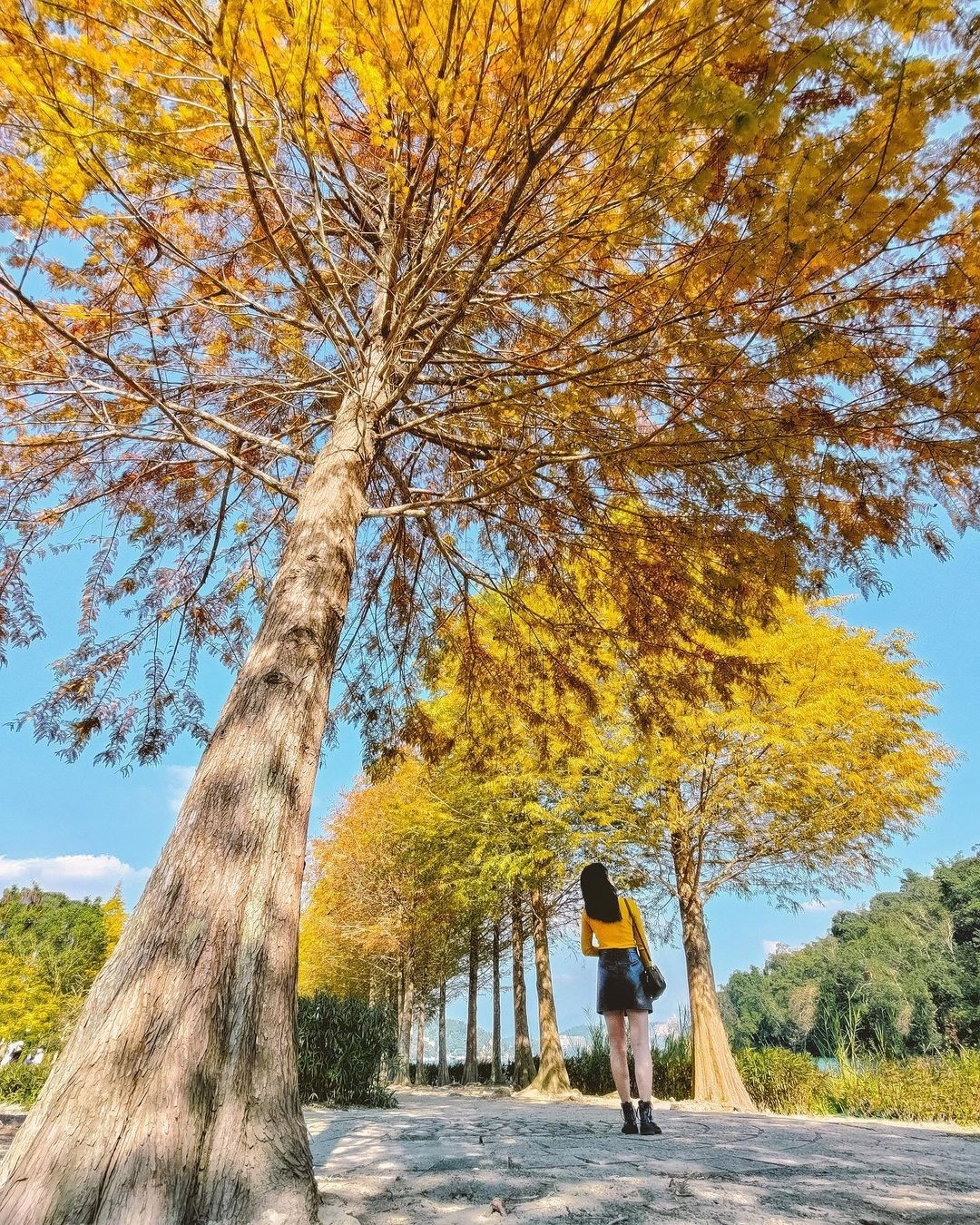 療癒系美景🍁🍁