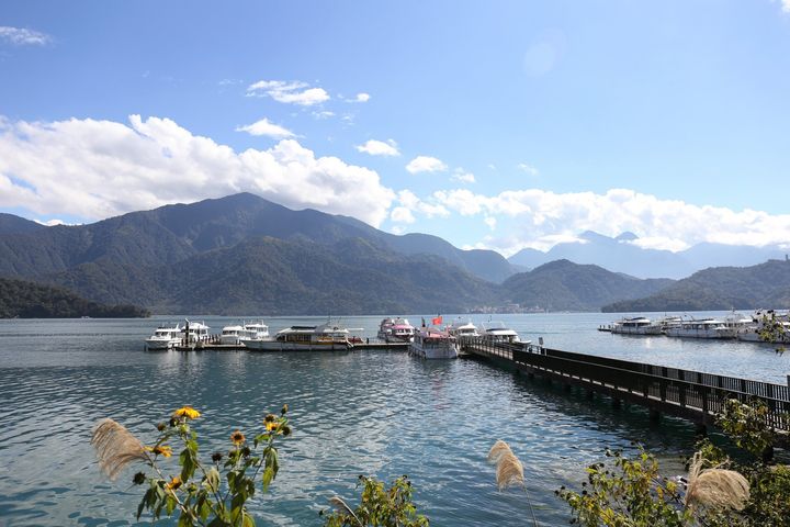 有點藍色的星期一 用朝霧美景療癒一下