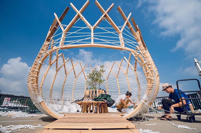 巨型鳥巢現身伊達邵