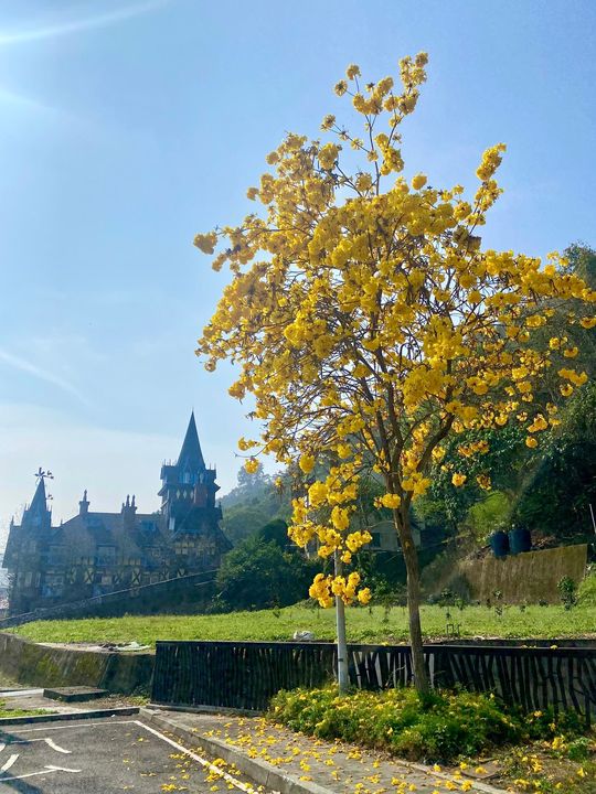 春暖花開的季節