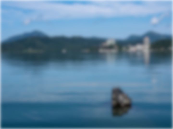 今天的九蛙有點可愛🐸🐸🐸