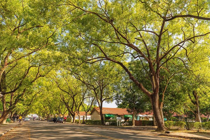 #國旅券 #抽大獎系列4/6