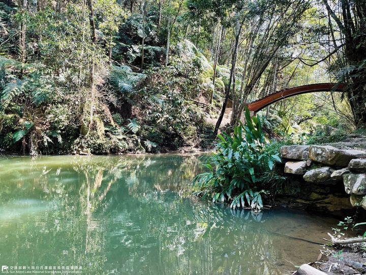 【澀水森林步道】#潭小編帶你遊日月潭