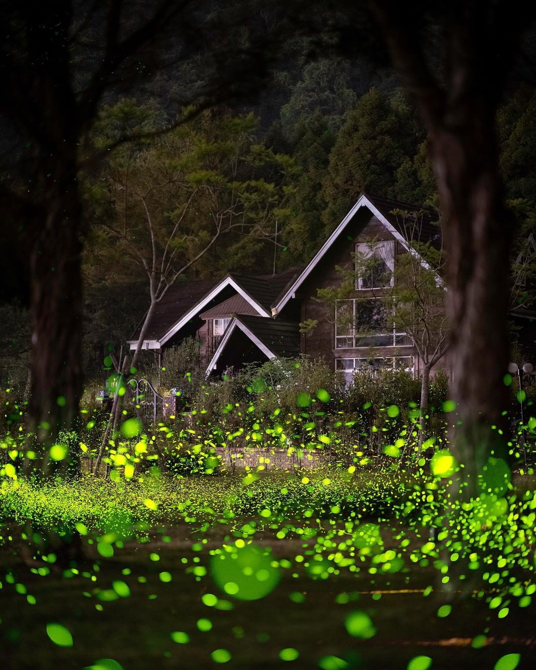 打開窗戶就能賞螢😍