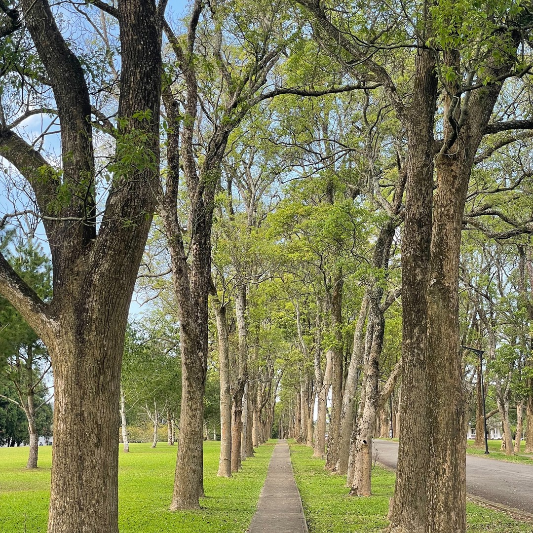 就算面對挑戰也要勇往直前
