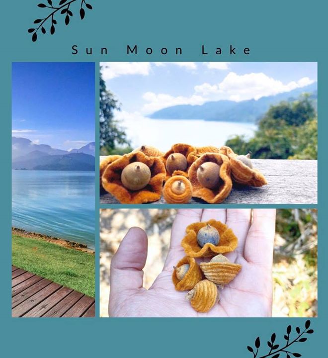 秋天來日月潭處處有驚喜！