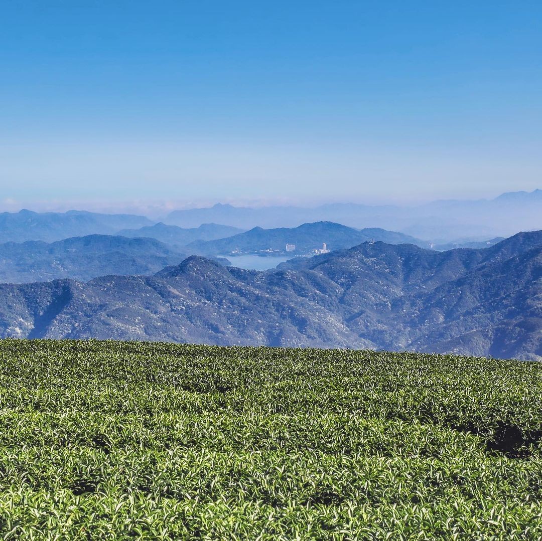 山裡有好多故事等你來探索