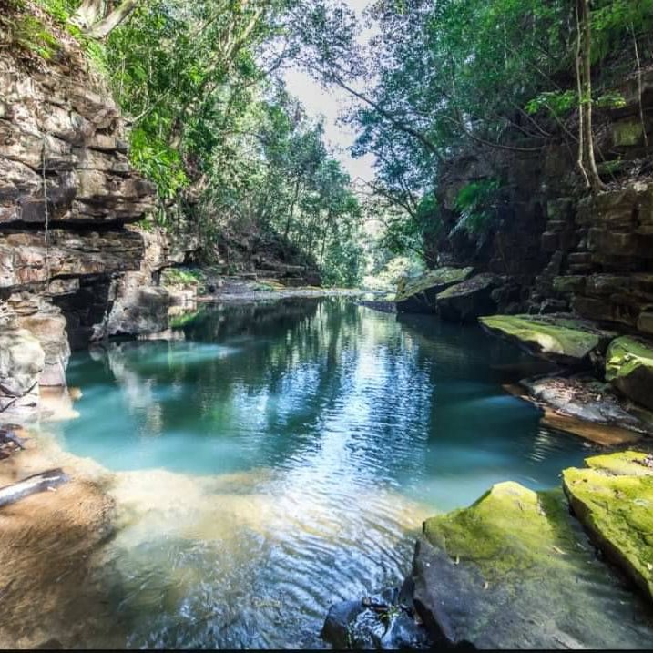 🌳【蓊鬱森林瀑布秘境在魚池】🌳