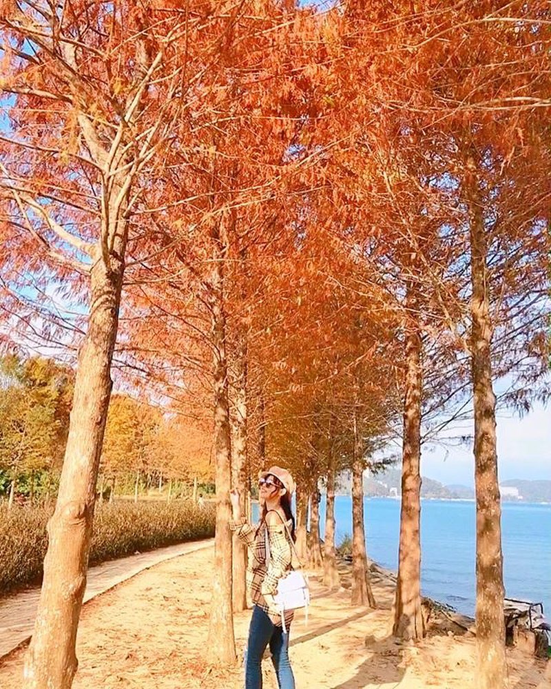 這景色會不會太浪漫🍂