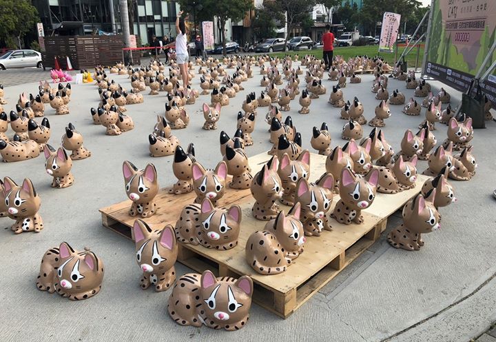 ‼注意‼石虎大軍出沒‼