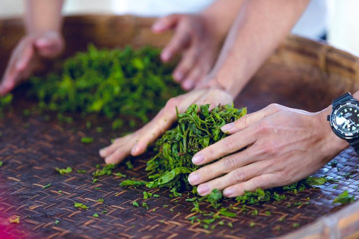 可不可以再揉一下下就好🤏🏻