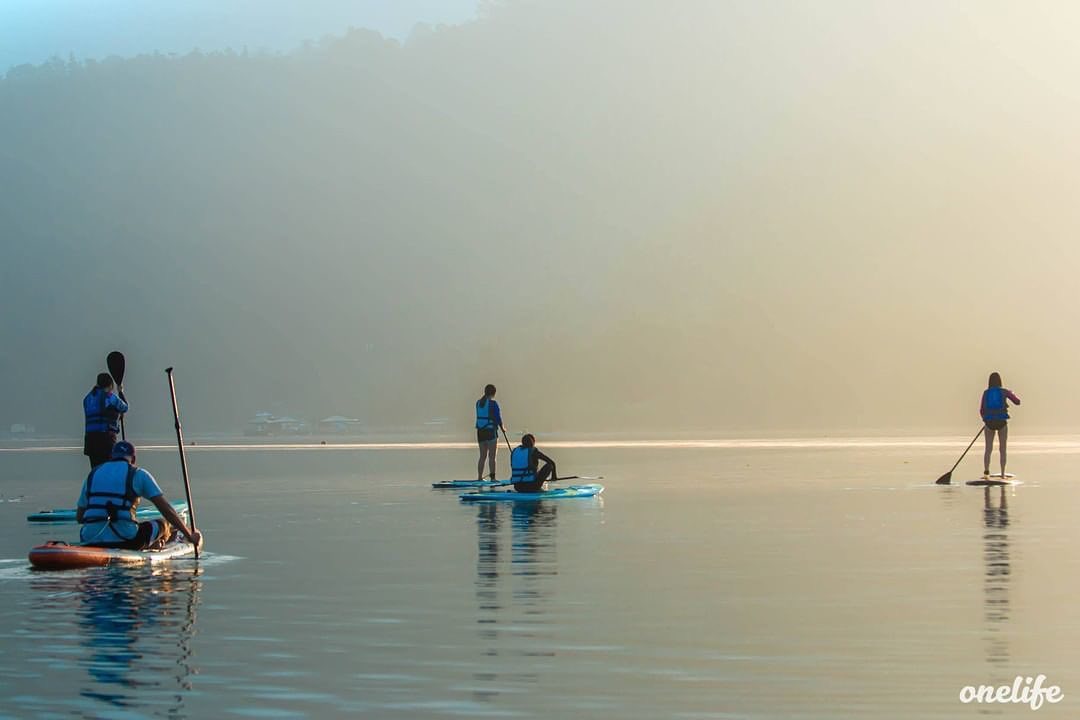 滑向希望的曙光🌅