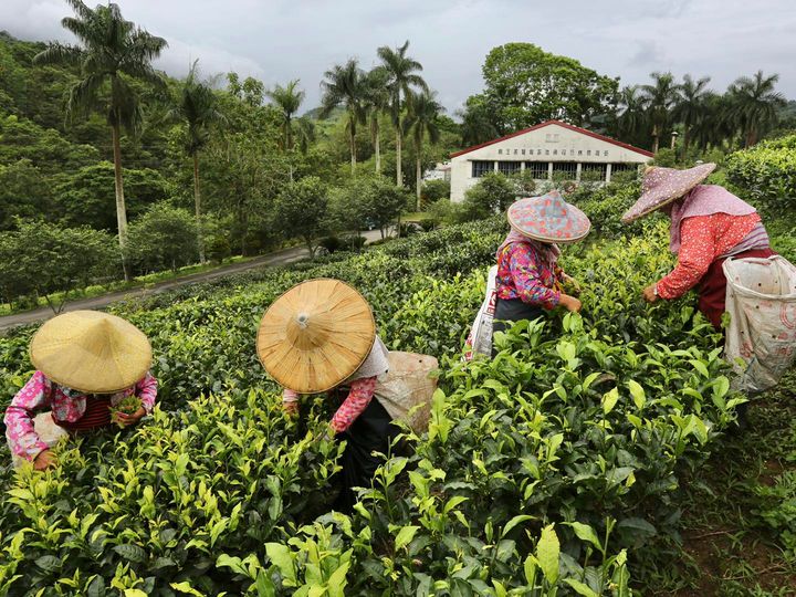 嘿😊，你曾聽說風土(Terroir)嗎？ (文末有禮