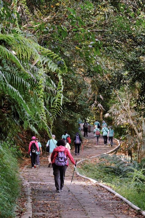 日月潭有魚也有虎，到山上的鯉魚潭跟虎頭山，步道上可以發現松鼠喜歡的果實，步道終點更可以眺望埔里市區，吸收滿滿的氛多精，心曠神怡啊…