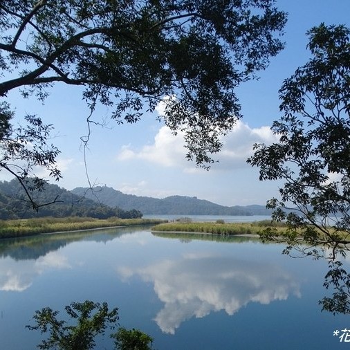 🌳【大竹湖步道】🌳