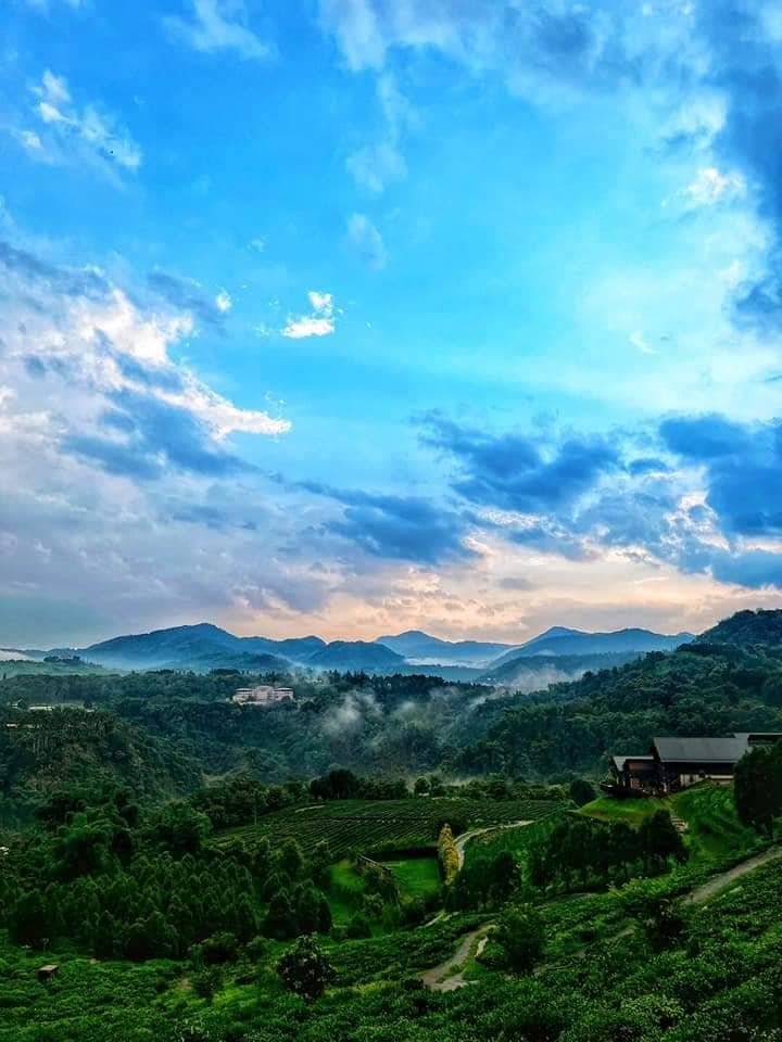 有沒有潭粉知道魚池三寶＋一咖