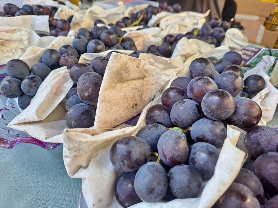 好消息告訴大家📣