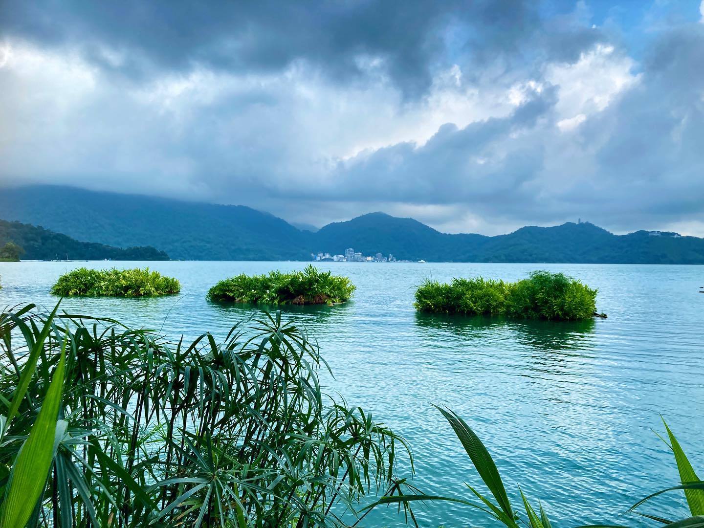 😵‍💫今天是monday blue !😵‍💫