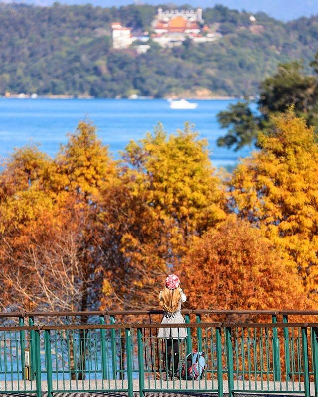 季節限定的色調🍂