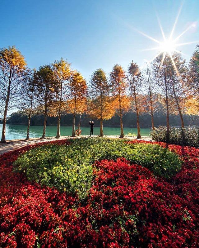 2020 Happy New Year !!!