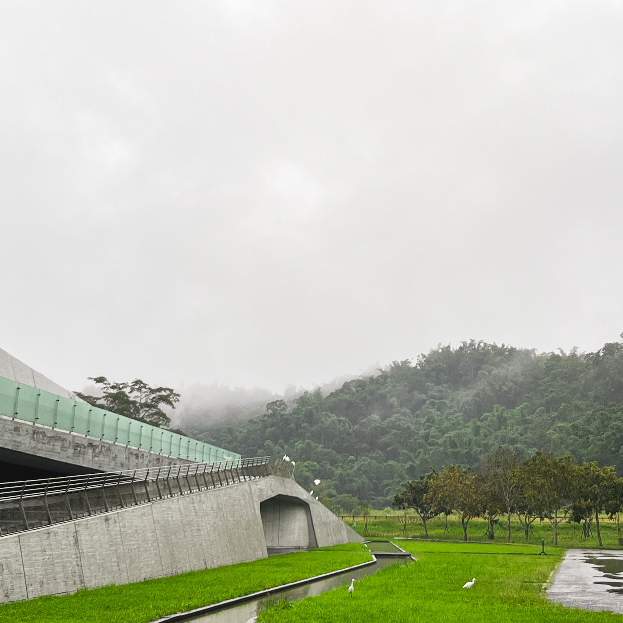 今天 #日月潭 又是一場暴雨來襲💦