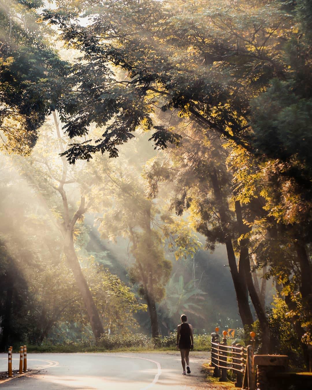 沐浴在晨光之中