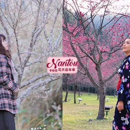 春天就是要賞花啊🌸