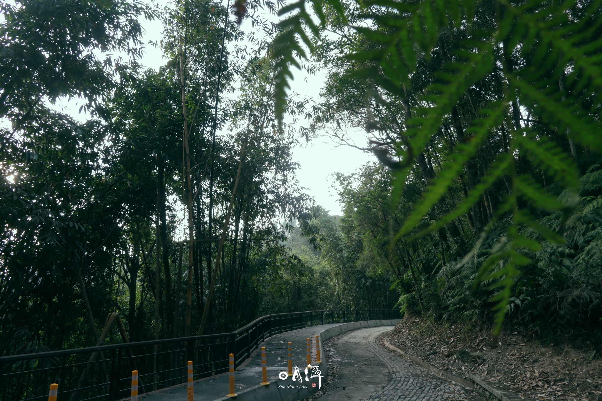 今晚，我想來點...