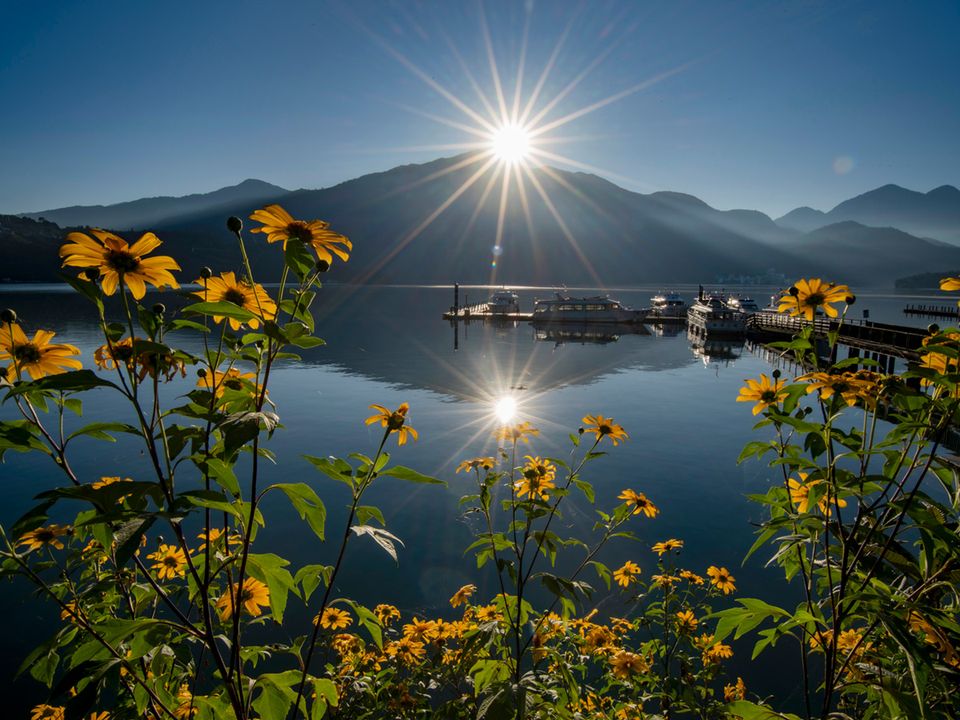 規劃跨年行程想要...跨完年再熱血一波(•̀ᴗ• )