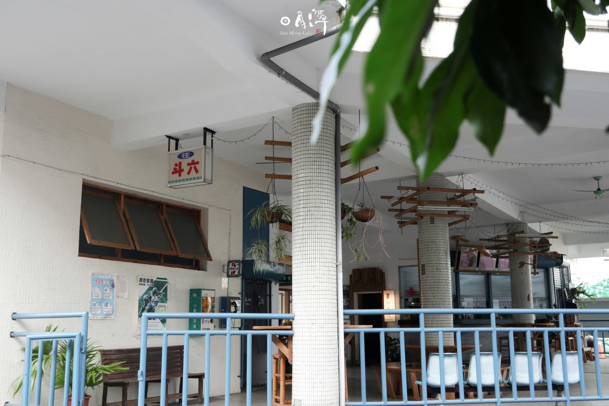 老翁在竹林裡砍竹子 意外撿到月亮公主🌙