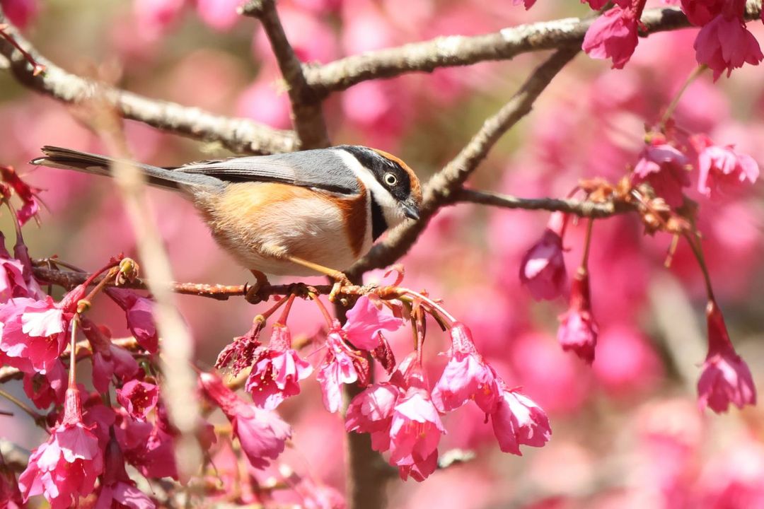 🌬️寒流來襲！日月潭現在只有10度的低溫阿～