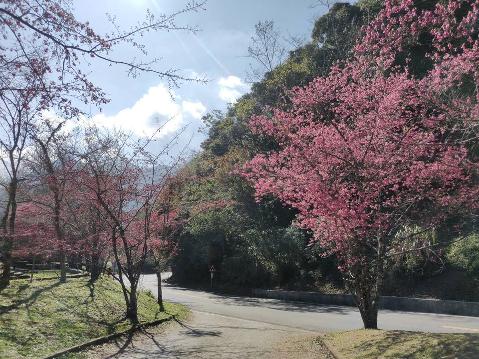 🌬️寒流來襲！日月潭現在只有10度的低溫阿～系列6/7