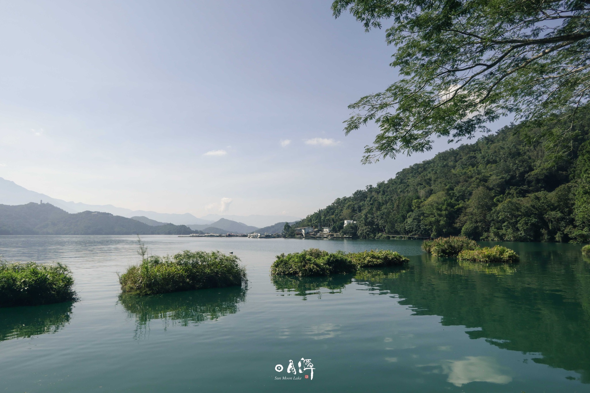 日月潭面上的小可愛