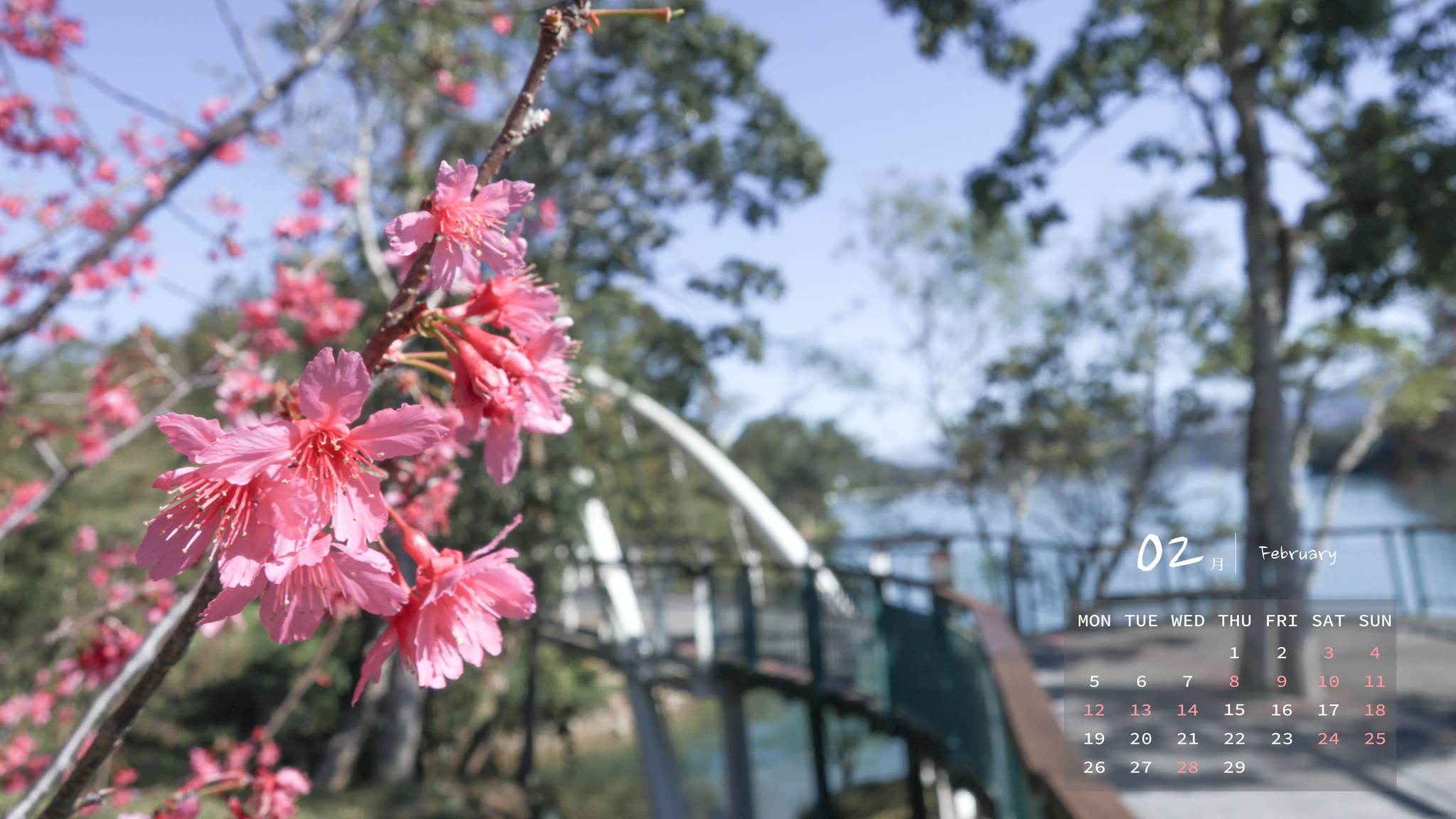 2月到 #南投 怎麼玩