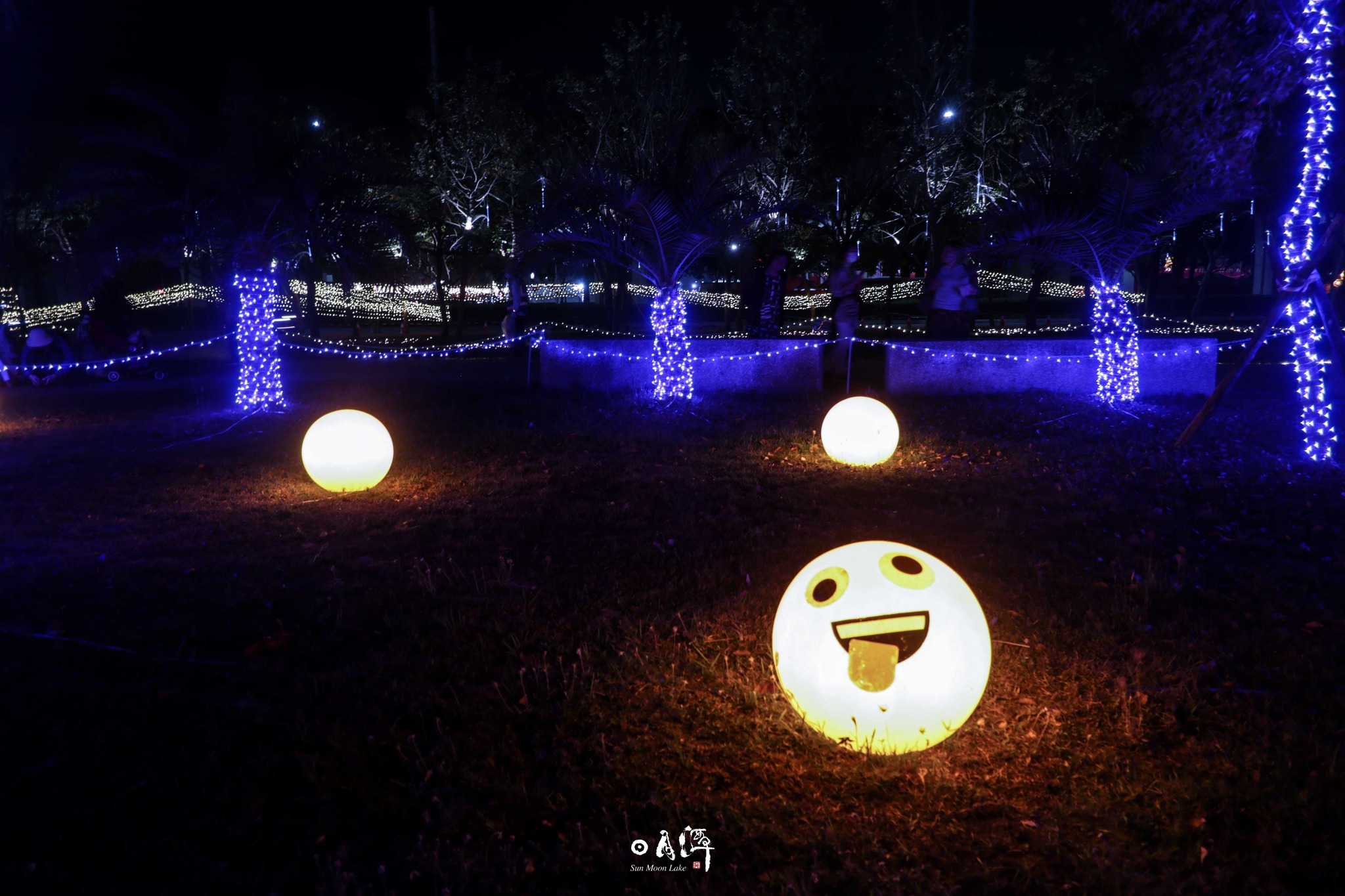 2024 #台灣燈會 在台南 #大家都去了嗎😆