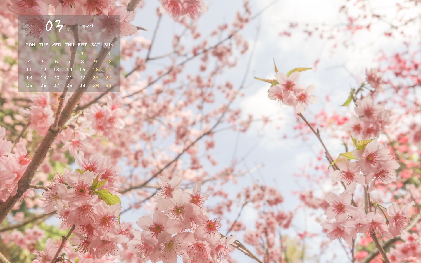 3月到 #南投 怎麼玩