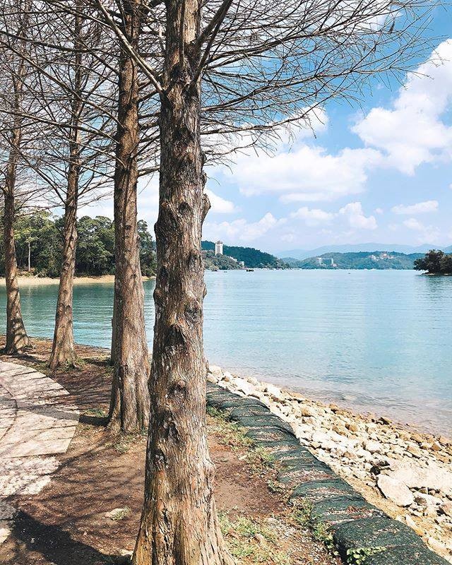 落羽松掉光了還是很美呀~