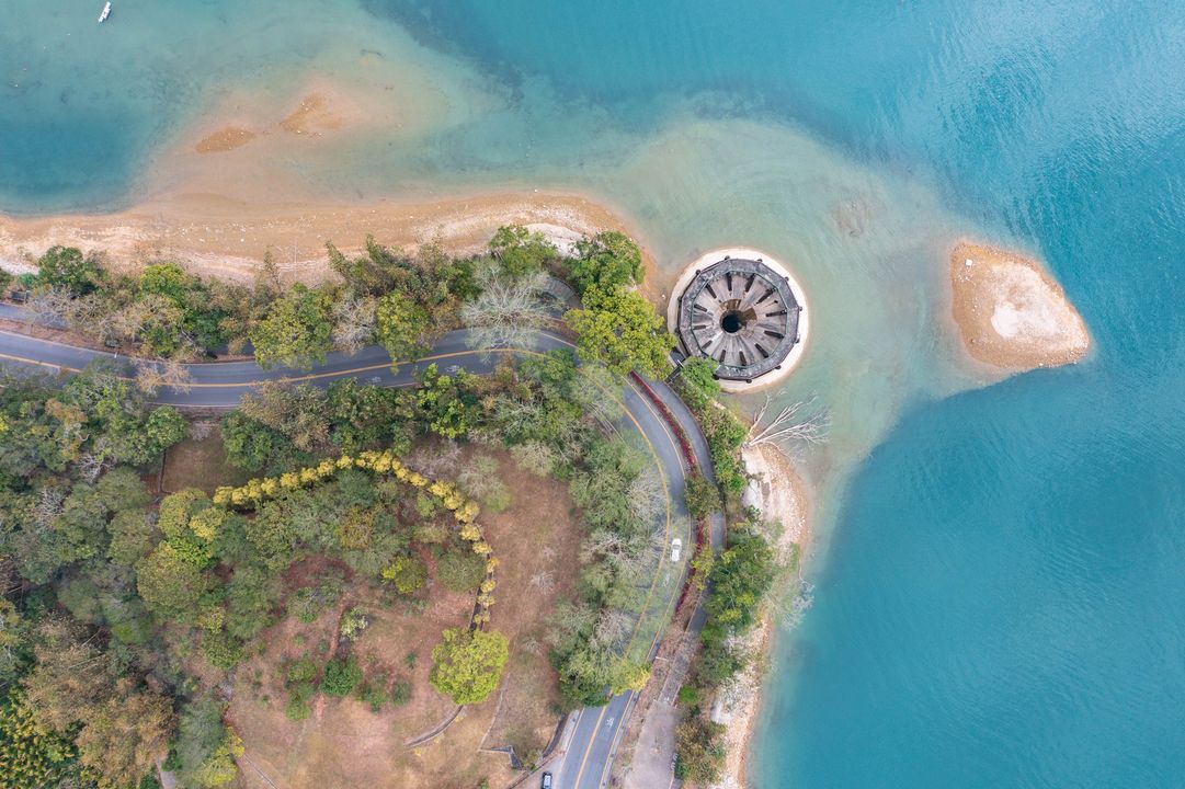 🔎〚疑？這是什麼啊？〛