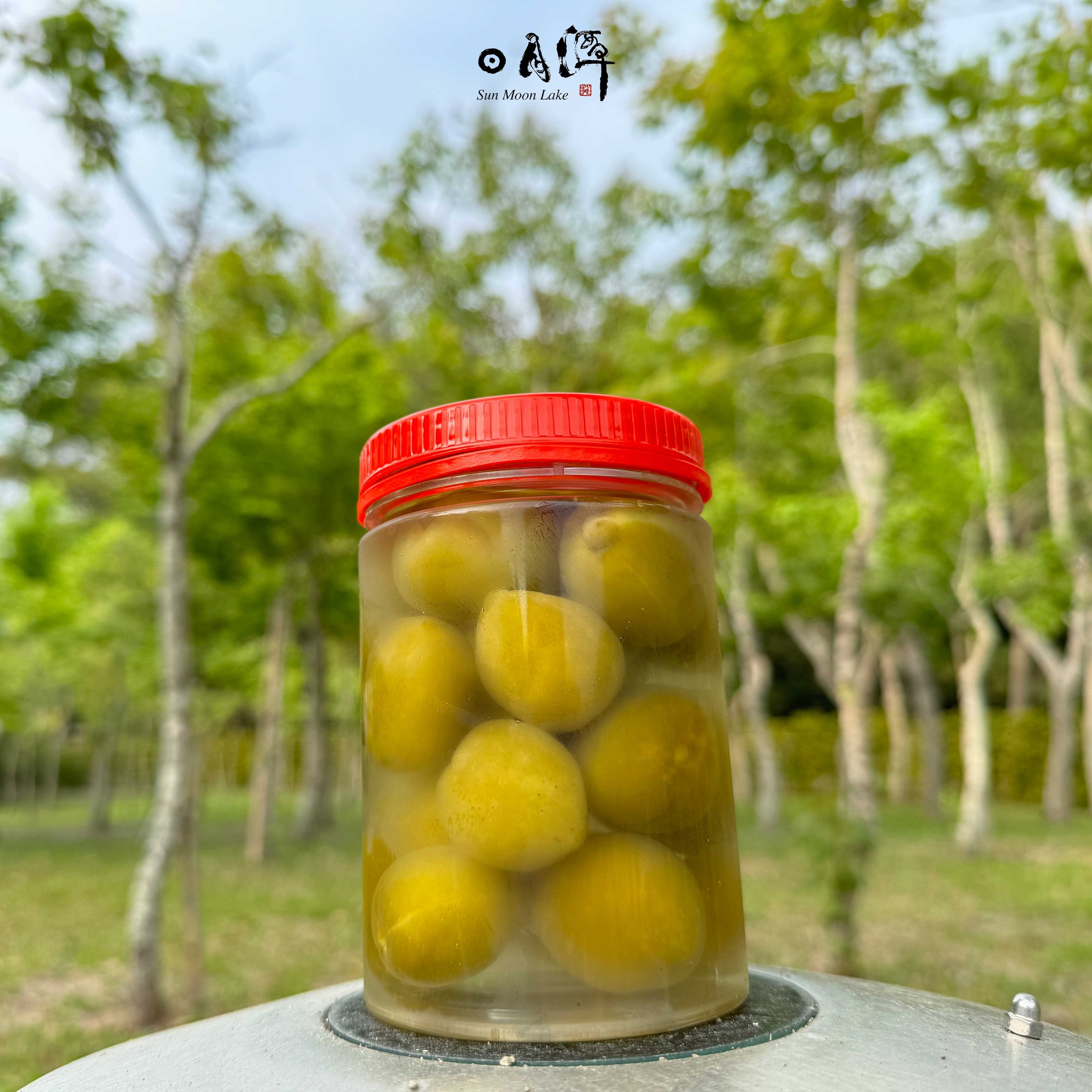 圓圓綠色的❓口感可脆可Q❓生前是一朵白花❓