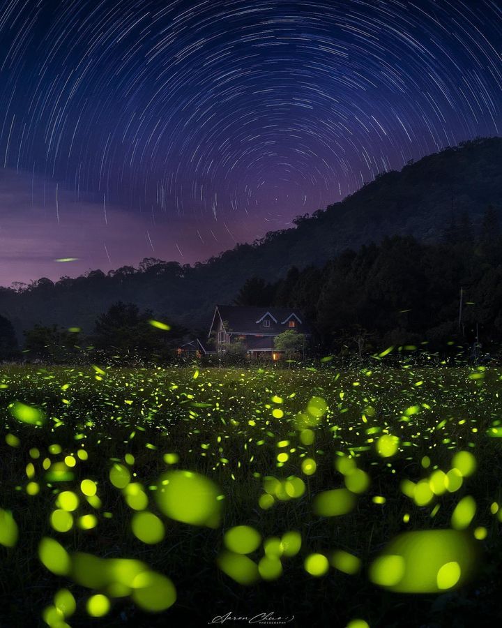 💫〚來大林賞螢吧〛